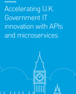 2 8 260x320 - Accelerating Government IT Innovation
