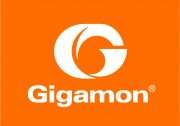 LOGO2 JPG 180x126 - ESG Economic Validation: Analyzing the Benefits of Gigamon