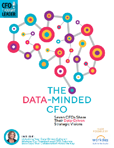 data minded fco ebook - The Data-Minded CFO: Seven CFOs Share Their Data-Driven Strategic Visions