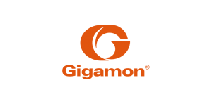 gigamon logo 0 300x148 - Security at the Speed of Your Network