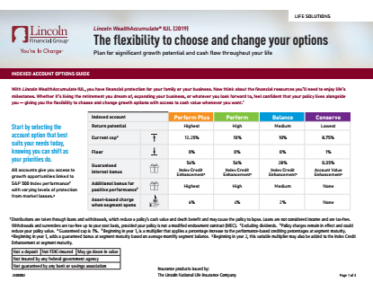 1 9 - Guide: The Flexibility to Choose and Change Options