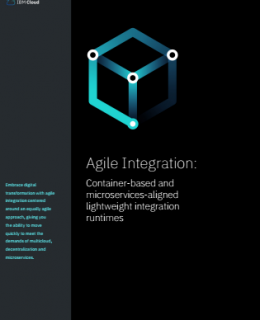 2 4 260x320 - Agile Integration: Container-based and microservices-aligned lightweight integration runtimes