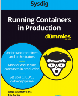 4 1 260x320 - For Dummies: Running Containers in Production