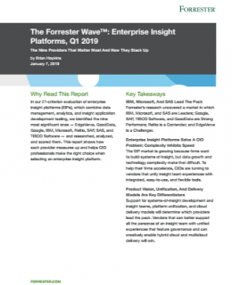 8 260x320 - The Forrester Wave™: Enterprise Insight Platforms, Q1 2019