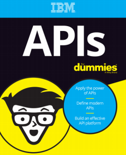 API for Dummies Handbook Third Edition 260x320 - API for Dummies Handbook (Third Edition)