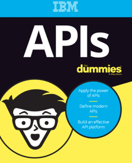 Screen Shot 2019 09 26 at 10.14.51 PM 260x320 - API for Dummies Handbook (Third Edition)