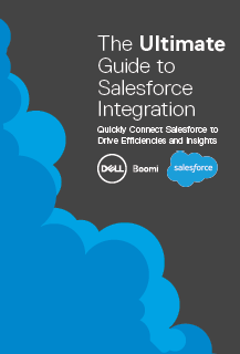 3 1 217x320 - The Ultimate Guide to Salesforce Integration
