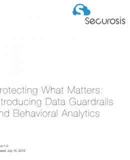 6th 1 260x320 - Introducing data guardrails and behavioral analytics