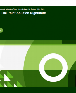 Quantifying The Point Solution Nightmare Edited 260x320 - Forrester Study: Quantifying the Point Solution Nightmare