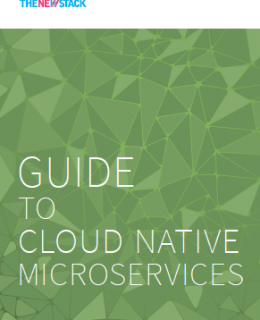 1 3 260x320 - The Definitive Guide to Cloud Native Microservices