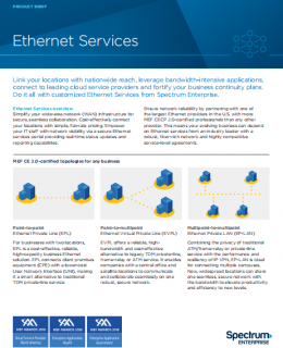 ethernet services 260x320 - Ethernet Services