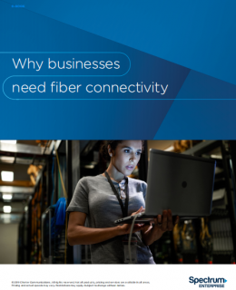 why business 260x320 - Why Businesses Need Fiber Connectivity