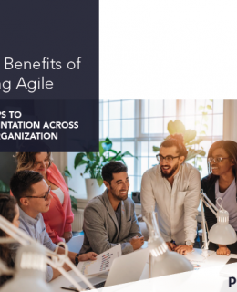 1 260x320 - The 7 Benefits of Scaling Agile