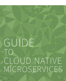 guide to cloud native microservices the new stack dynatrace 260x320 - The Definitive Guide to Cloud Native Microservices
