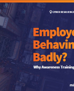 2 1 260x320 - Employees Behaving Badly? Why Awareness Training Matters