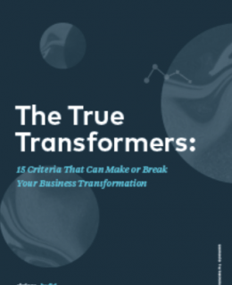 1 17 260x320 - The True Transformers: 15 Criteria That Can Make or Break Your Business Transformation