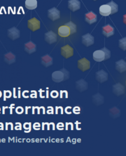 4 6 260x320 - Application Performance Management in the Microservice Age