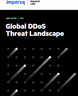 7 260x320 - 2019 Global DDoS Threat Landscape Report
