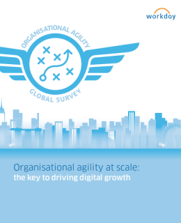 oragnisatinl 260x320 - Organisational Agility Brings Long-Term Business Success