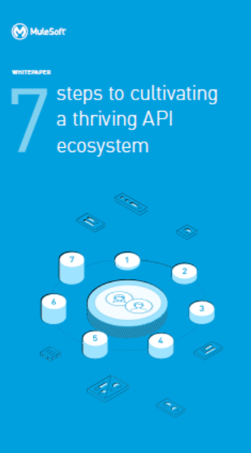 2 6 - 7 steps to cultivate a thriving API ecosystem