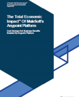 3 2 260x320 - Forrester TEI finds 445% ROI with Anypoint Platform