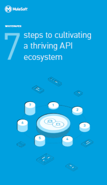 6 - 7 steps to cultivate a thriving API ecosystem
