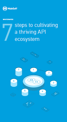 1 17 - 7 steps to cultivate a thriving API ecosystem