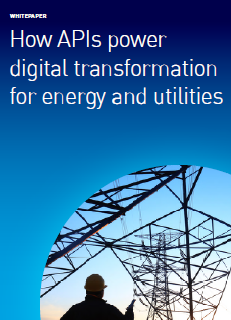 1 19 231x320 - How APIs power digital transformation for energy and utilities