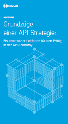 2 13 - Grundzüge einer API-Strategie