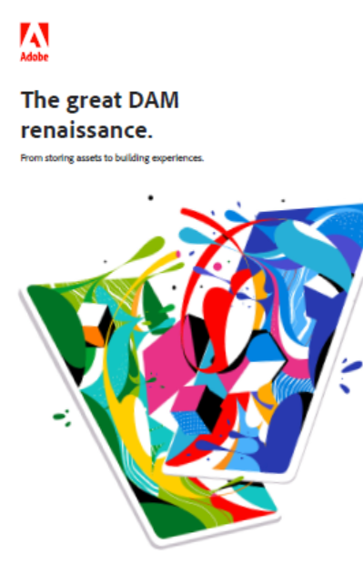 6 - The Great DAM Renaissance: From Storing Assets To Building Experiences