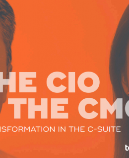 cio 260x320 - The CIO & The CMO: Transformation in the C-Suite
