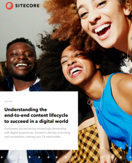 understnding 260x320 - Understanding the end-to-end content lifecycle