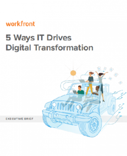 5 Ways IT Can Drive DX reskinne 260x320 - 5 Ways IT Drives Digital Transformation