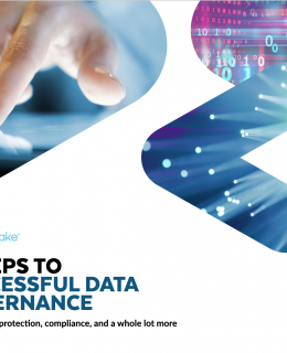 Screenshot 2020 10 21 5 steps to successful data governance pdf 260x320 - 5 Steps to Successful Data Governance