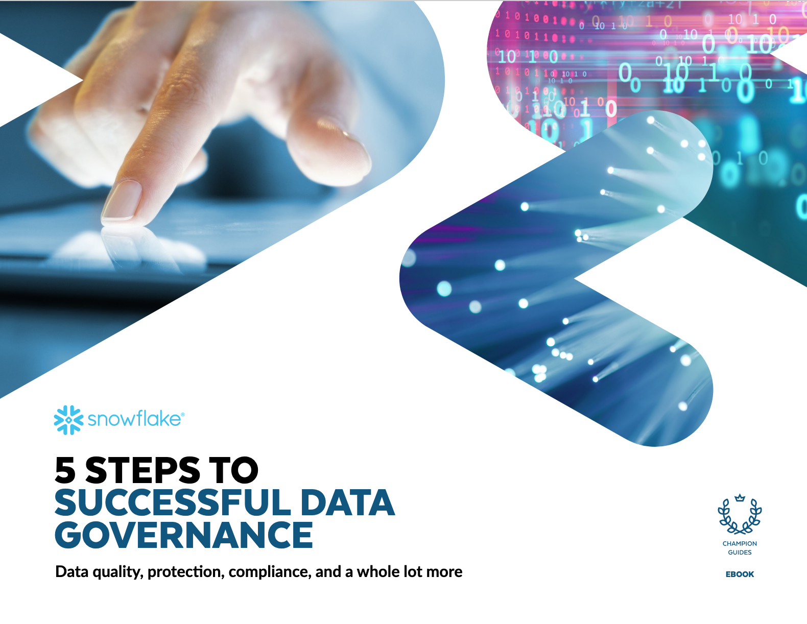 Screenshot 2020 10 21 5 steps to successful data governance pdf - 5 Steps to Successful Data Governance