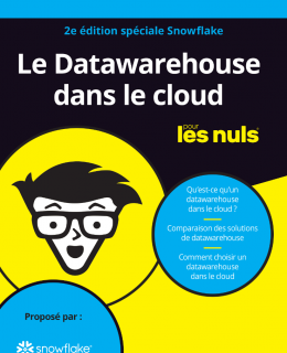 Screenshot 2020 10 21 Le Datawarehouse dans le cloud pour les Nuls® 2e édition spéciale Snowflake le datawarehouse dans ... 260x320 - CLOUD DATA WAREHOUSING POUR LES NULS (2EME EDITION)
