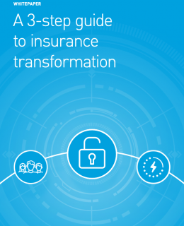 Screenshot 2020 11 14 wp insurance transformation pdf 260x320 - Whitepaper - A 3-step guide to insurance transformation
