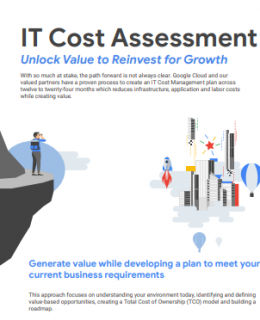 Screenshot 4 2 260x320 - IT Cost Assessment - Unlock Value to Reinvest for Growth