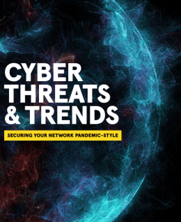 3 260x320 - Cyber Threats & Trends: Jan–June 2020. Is This the New Normal?