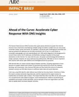 7 260x320 - Impact Brief: Ahead of the Curve - Accelerate Cyber Response with Near-Real Time DNS Insights