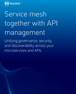 1 13 260x320 - Service Mesh together with API management