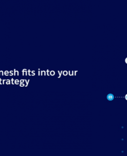 1 14 260x320 - How a service mesh fits into your microservices strategy