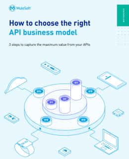 1 15 260x320 - How to choose the right API business model