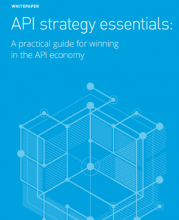 1 18 260x320 - API strategy essentials