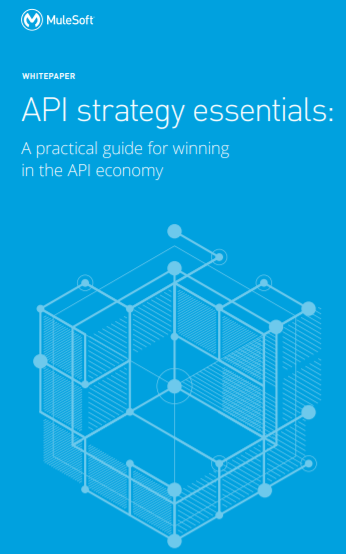 1 18 - API strategy essentials