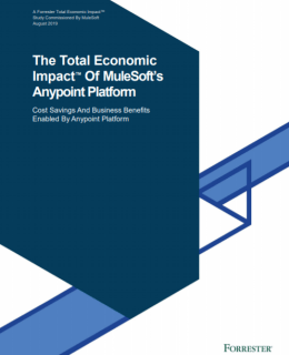 1 25 260x320 - Forrester Total Economic Impact of MuleSoft Anypoint Platform