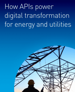 Screenshot 1 19 260x320 - How APIs power digital transformation for energy and utilities