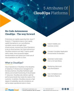 5 Attributes Of CloudOps Platforms
