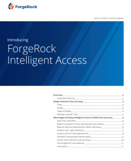 Screenshot 1 16 260x320 - Introducing ForgeRock Intelligent Access