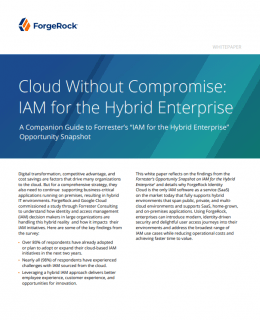 Screenshot 1 26 260x320 - Cloud Without Compromise: IAM for the Hybrid Enterprise